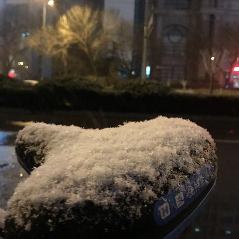 此时此刻丨不畏风雪，只因责任在肩