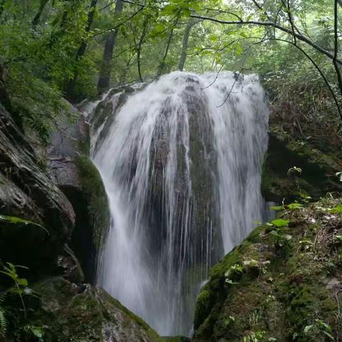 石油娃在国外一