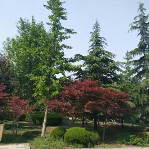 五月七号参观山东省寿光市菜博会小影