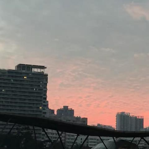 简单的生活