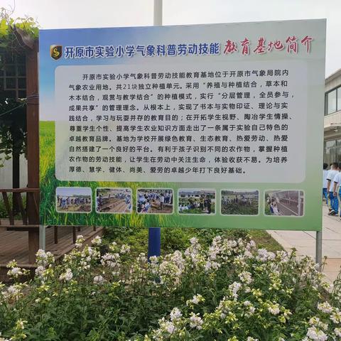 开原市实验小学五年部学生到劳动基地进行除草采摘劳动实践活动