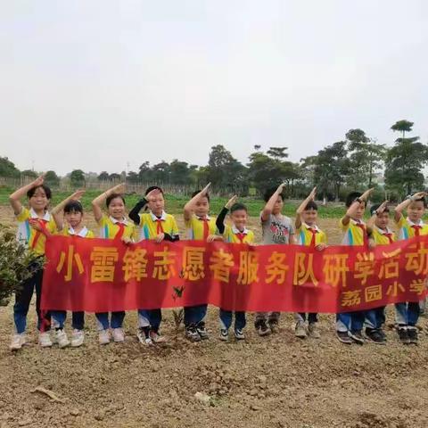 学习雷锋我行动，爱绿护绿我最行---记荔园小学小雷锋志愿者服务队学雷锋植树活动