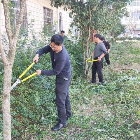 砚山县人社局推动“绿、美、        亮”机关建设提升“严、紧、实”队伍管理