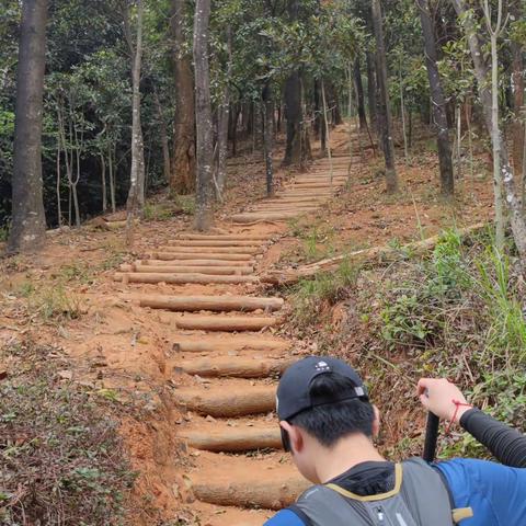 银湖郊野公园二