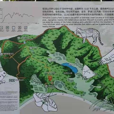 银湖郊野公园徒步