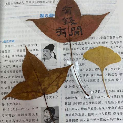 秋叶