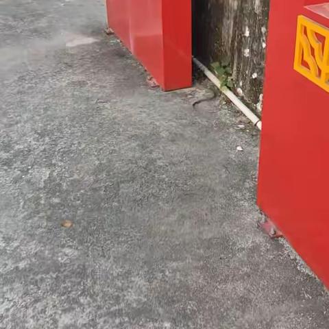 小青自白
