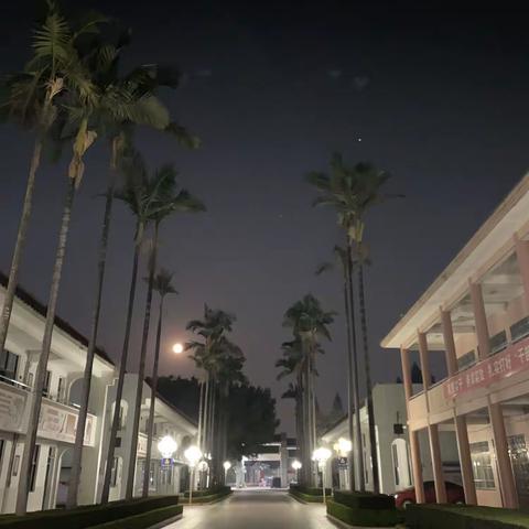 信寄何方