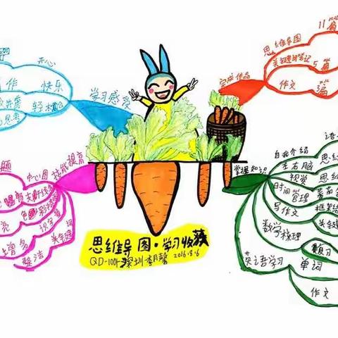 探秘小学生思维导图趣味世界   李月馨收获首个30天大满贯