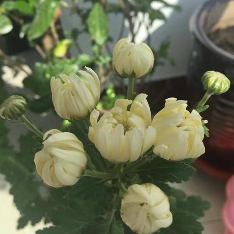 80随想