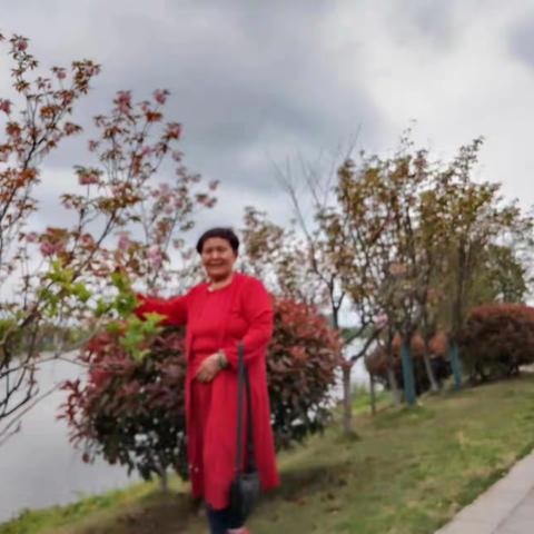 踏春万丰湖