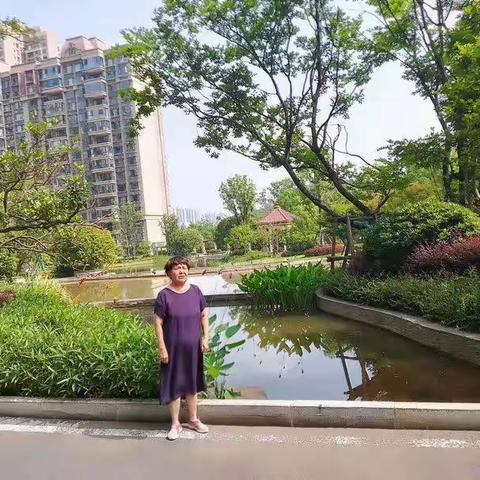 南国的精灵