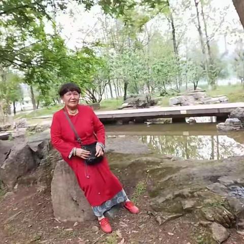 美丽的季节