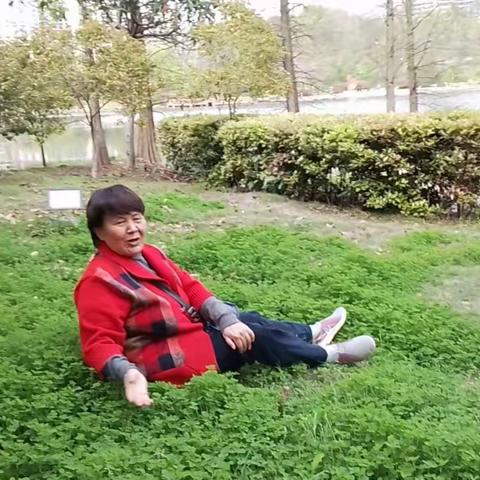 踏春