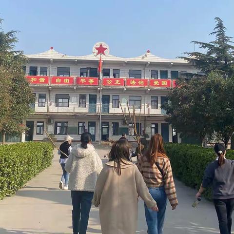 【文化鲁庄】种植新绿，拥抱春天——鲁庄镇念子庄小学植树活动