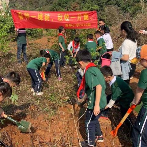 “春种一棵树，秋收一片荫”——玉州区东环小学2016班微社团之2022年植树活动