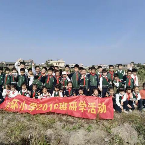 参观火龙果基地，亲密接触大自然——玉州区东环小学2016班研学活动