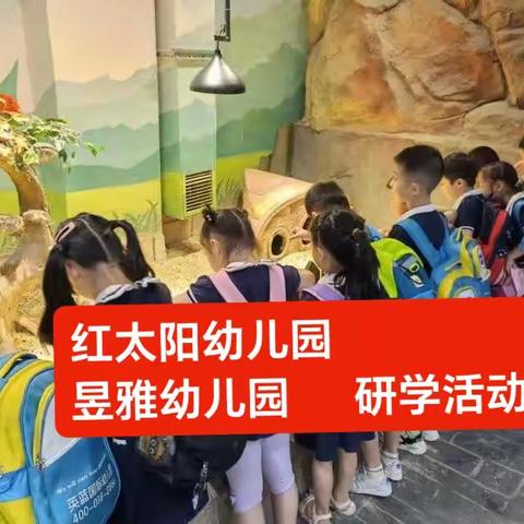 红太阳幼教集团红太阳幼儿园昱雅幼儿园“心怀梦想，毕业研学”毕业研学活动开启啦