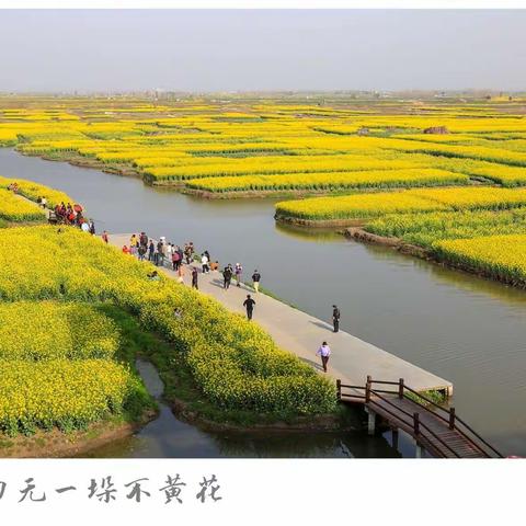 费县电影家协会会员作品周展
