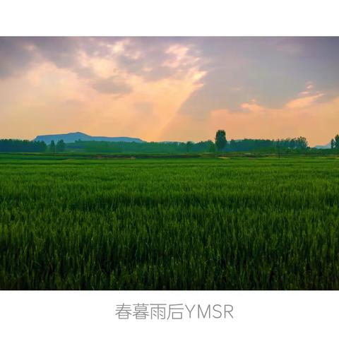 费县电影家协会会员作品周展