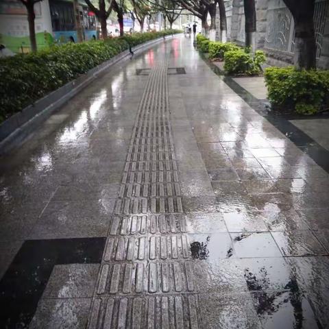 雨中即景……