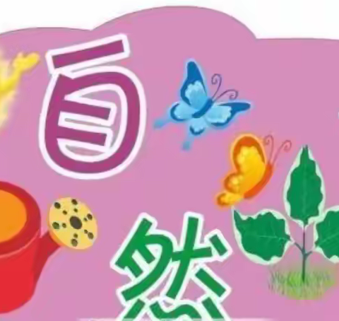 “小角落，大自然”——新昌小学幼儿园自然角评比活动