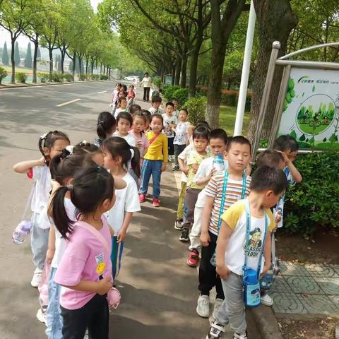 中二班晨间小树林快乐掠影