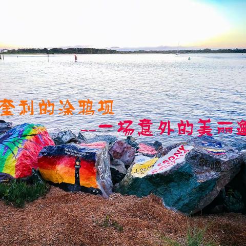 麦奎利的涂鸦坝——一场意外的美丽邂逅