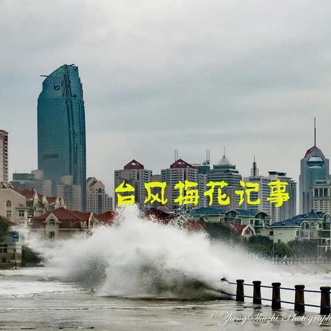 台风梅花记事
