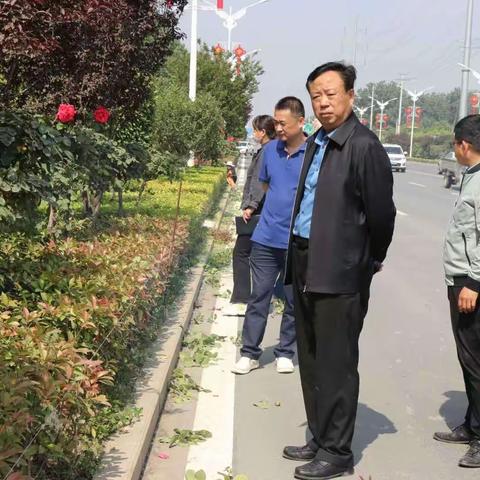 公路局精心打造五条道路绿化美化