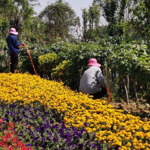 公路局督查通报（第五期）