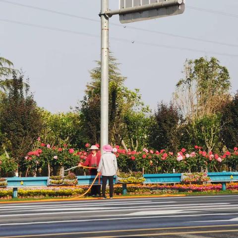 道路绿化美化工作督查通报（第四期）