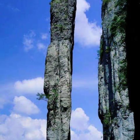 “柔情”峡谷一一恩施大峡谷