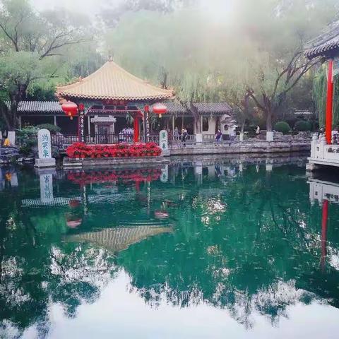 走进山东          美丽泉城济南（一）