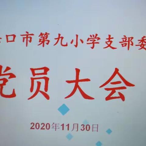 海口市第九小学支部委员会十一月党员大会