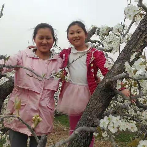 梨花节，可爱的宝贝！