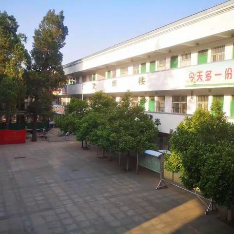 时光不语，静待花开——（2022—2023学年第二学期第16周工作纪实）