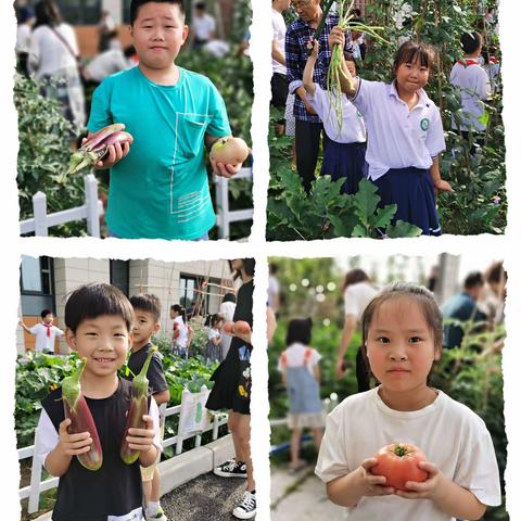 鄠邑区新区小学一六班“遇见蔬菜”小葵花蔬菜义卖活动