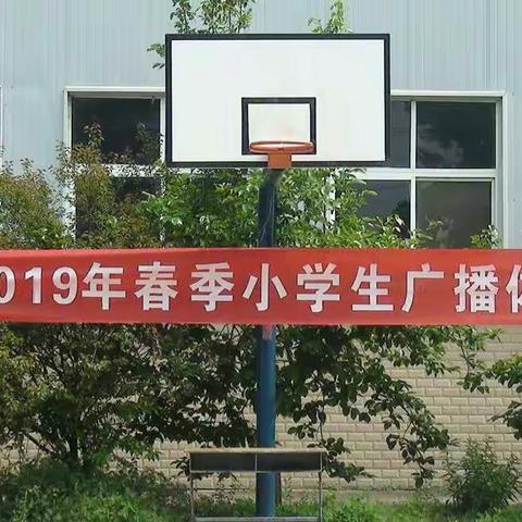 双桥镇2019年春季小学生广播体操比赛