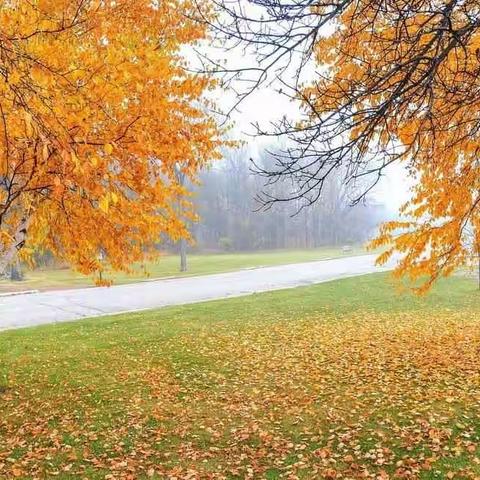 教学无止境，教研促成长——山头庄小学教研组活动