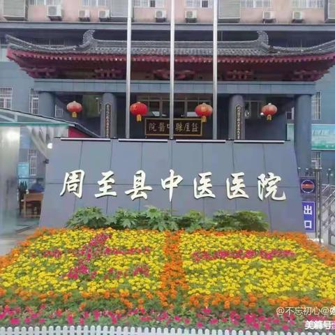 下乡义诊惠民生，真情服务暖人心———周至县中医医院康复科下乡义诊活动