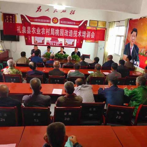 礼泉县农业农村局桃园改造培训活动
