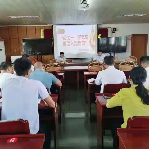 宁都县乡村振兴局党支部开展“迎七一，学党史，重温入党誓词”主题党日活动