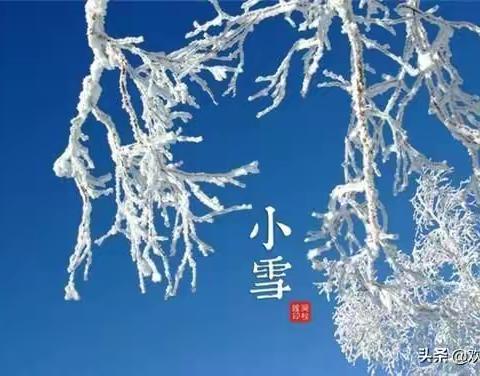 “知节气，迎小雪”沣西新城马王环宇幼儿园“小雪”主题活动