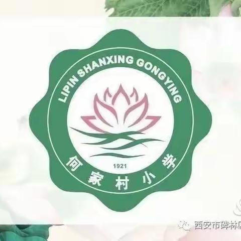 在培训中成长，在总结中提升——班主任培训经验交流