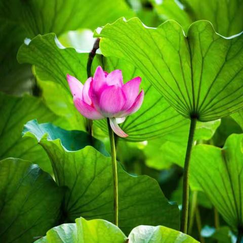 安全度盛夏  文明迎亚运