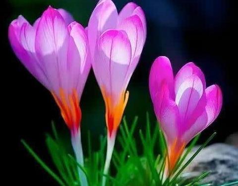 携手并进  聚力前行——残疾人个人素能提升活动掠影