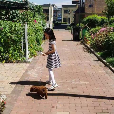 智心慧行伴成长 童心乐享七彩夏 第二实验小学校暑假综合实践活动 一年七班 吕昕乐七彩暑假