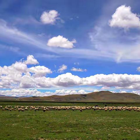 西藏之旅（三）——山南