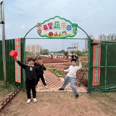 智慧绿乐园，欢乐每一天——希望蔬乐园二（1）班蔬菜种植实践活动